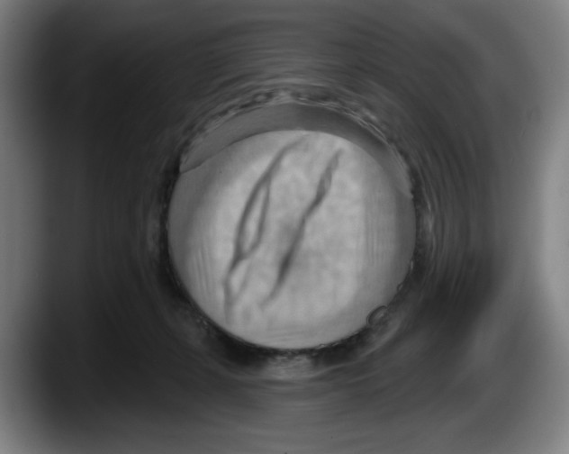X0000087590271200705251908