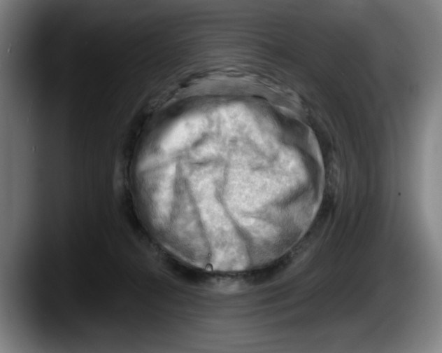 X0000087590272200705251908