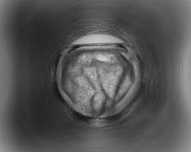 X0000087590273200705251908