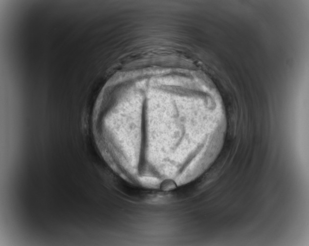 X0000087590274200705251908