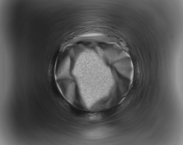 X0000087590275200705251908