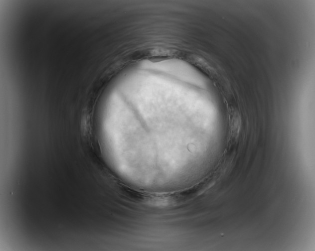 X0000087590276200705251908