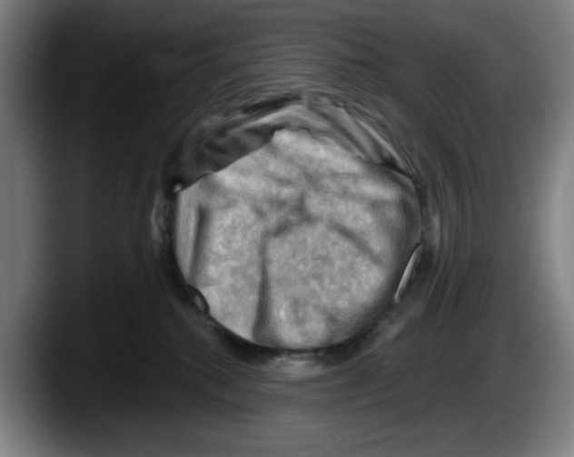 X0000087590280200705251908