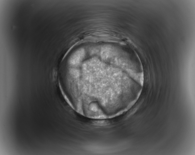 X0000087590281200705251908