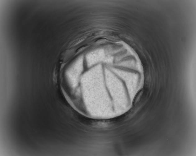 X0000087590282200705251908
