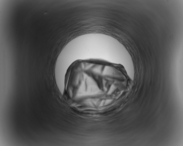 X0000087590284200705251908