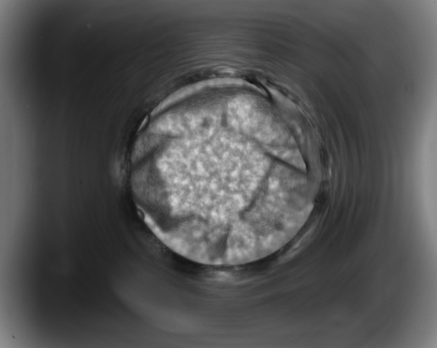 X0000087590285200705251908