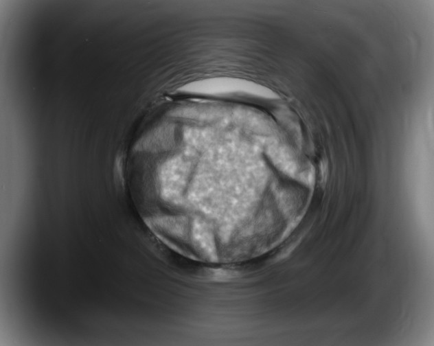 X0000087590286200705251908