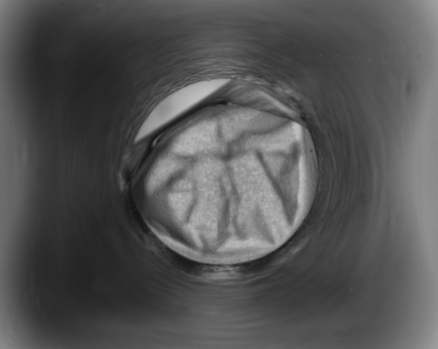 X0000087590288200705251908