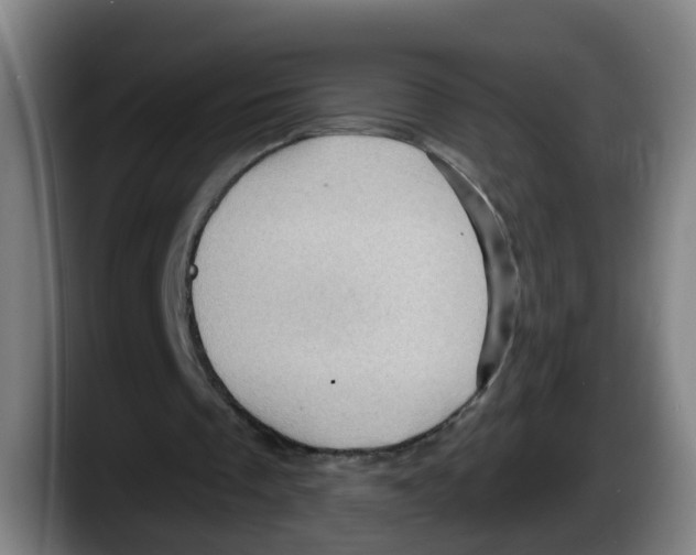 X0000087590289200705251907