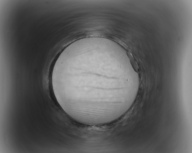 X0000087590290200705251907