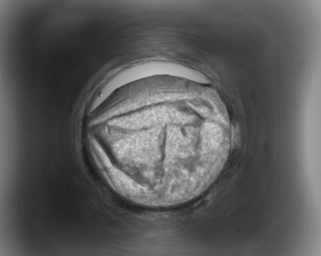 X0000087590291200705251907