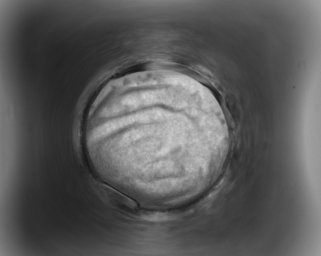 X0000087590293200705251907