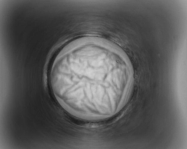X0000087590294200705251907