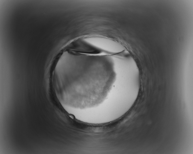 X0000087590295200705251907