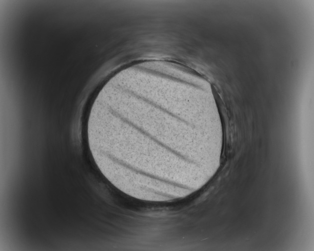 X0000087590296200705251907