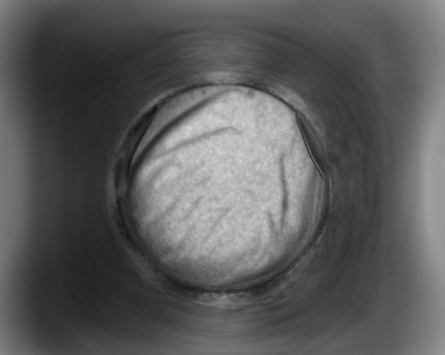 X0000087590297200705251907