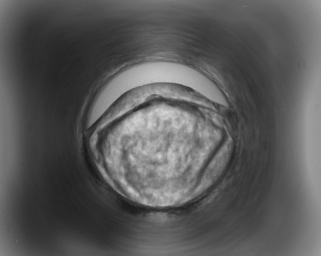 X0000087590298200705251907