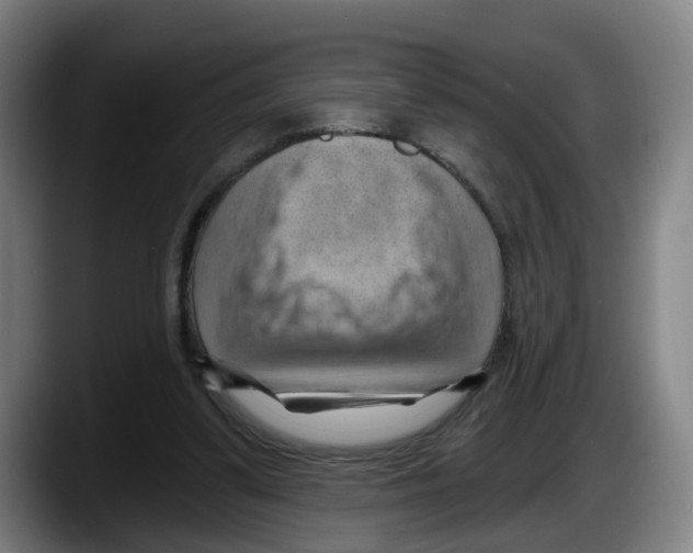 X0000087590299200705251907
