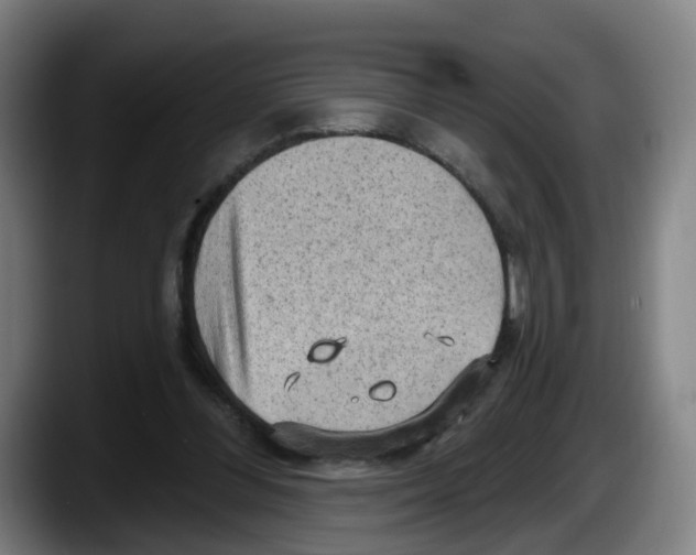 X0000087590300200705251907