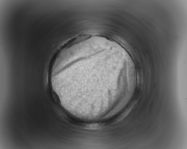 X0000087590301200705251907