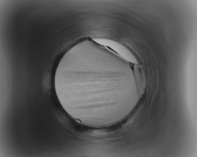 X0000087590303200705251907