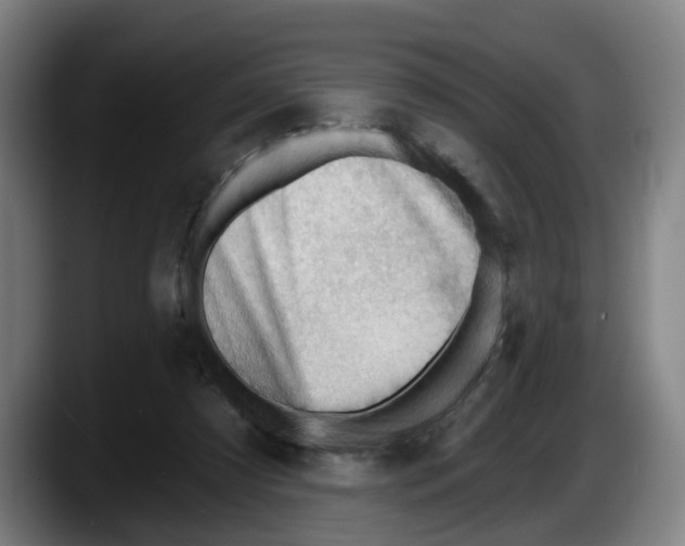 X0000087590305200705251907