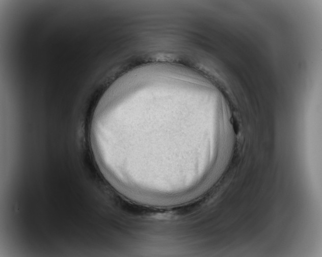 X0000087590306200705251907