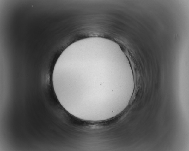 X0000087590310200705251907
