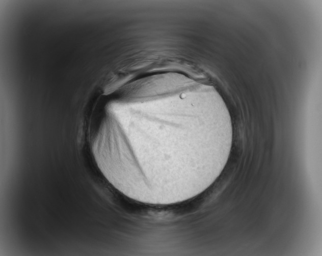 X0000087590311200705251907