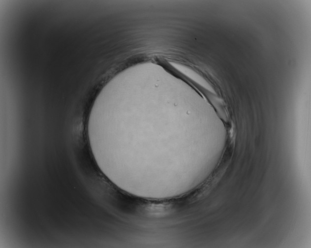 X0000087590314200705251907