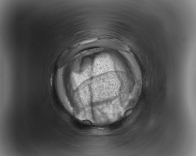 X0000087590315200705251907