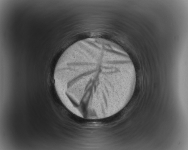 X0000087590316200705251907