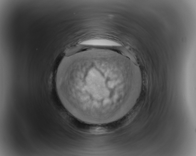 X0000087590319200705251907