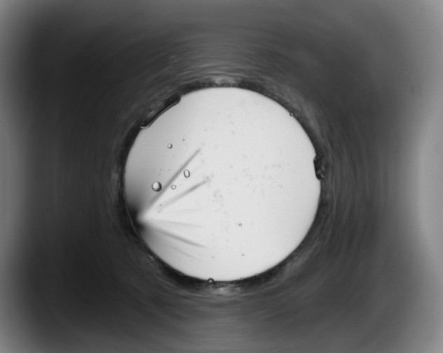 X0000087590321200705251907