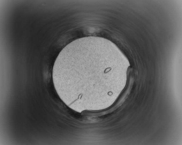 X0000087590324200705251907