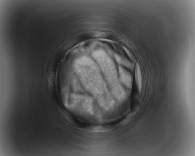 X0000087590325200705251907