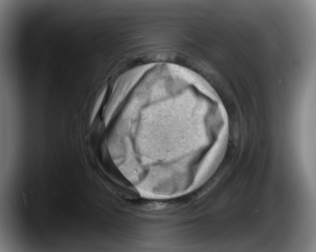 X0000087590326200705251907