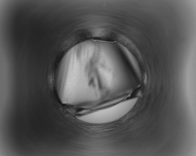 X0000087590329200705251907