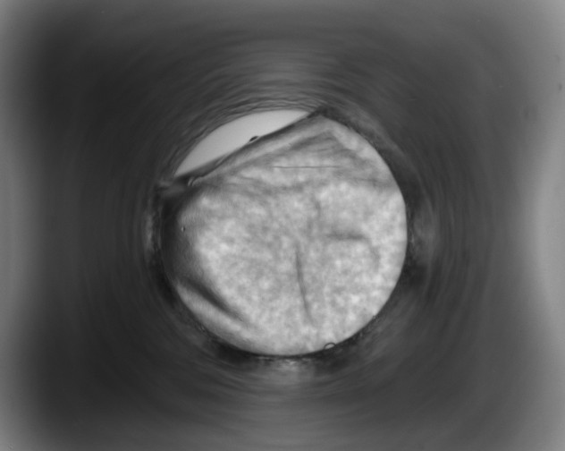 X0000087590330200705251907
