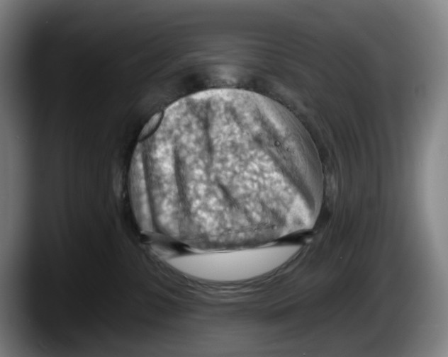 X0000087590331200705251907