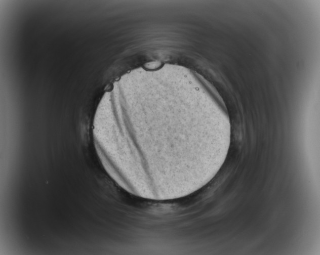 X0000087590332200705251907