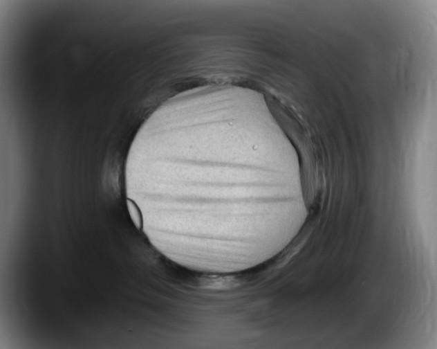 X0000087590334200705251907
