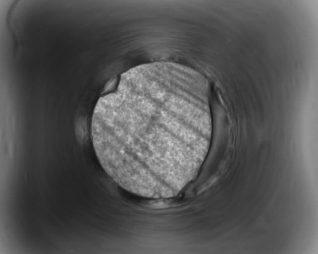 X0000087590335200705251907