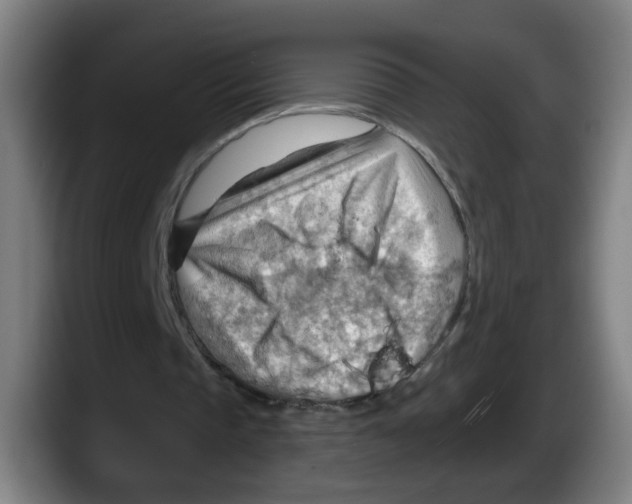 X0000087590337200705251906