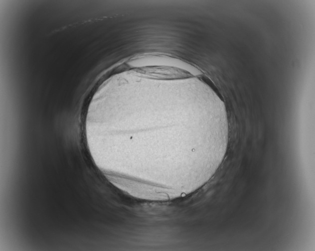 X0000087590338200705251906