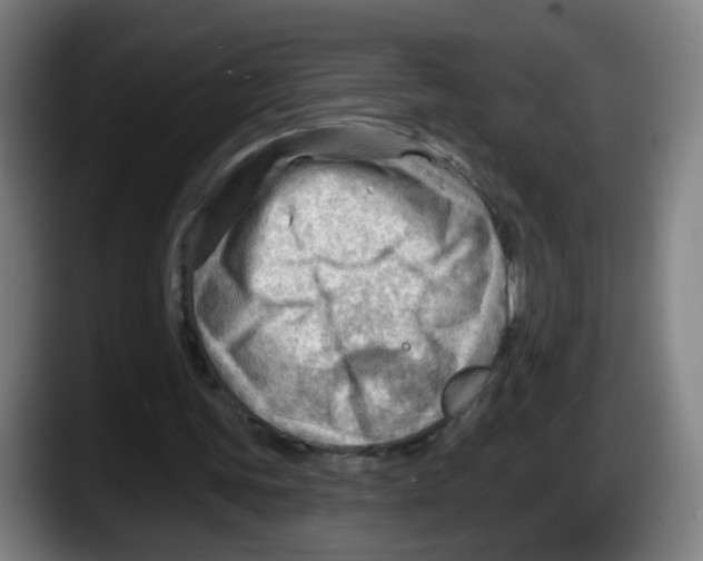 X0000087590339200705251906