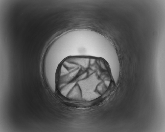 X0000087590340200705251906