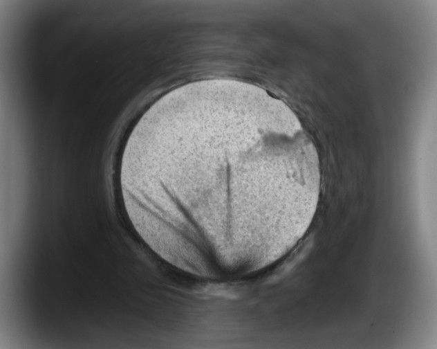 X0000087590341200705251906