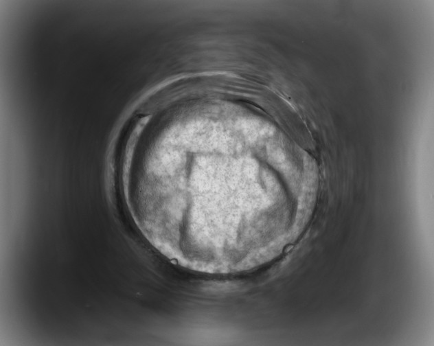 X0000087590342200705251906